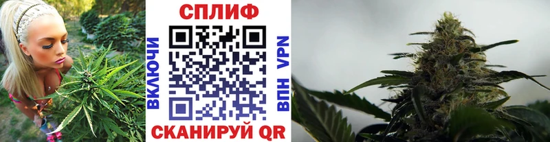 Купить наркотики цена Пучеж Конопля  Меф  КОКАИН  Героин  Гашиш  APVP 