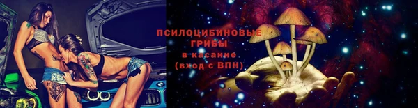 соль ск Алексин