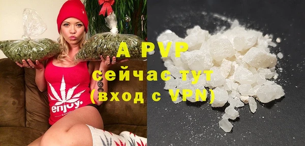соль ск Алексин