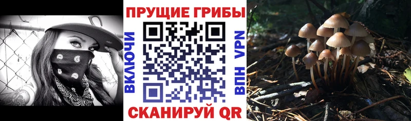 Псилоцибиновые грибы MAGIC MUSHROOMS  Пучеж 
